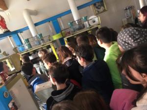 foto9